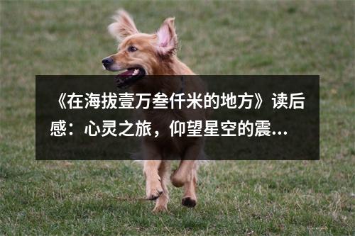 《在海拔壹萬(wàn)叁仟米的地方》讀后感：心靈之旅，仰望星空的震撼 (1000字)