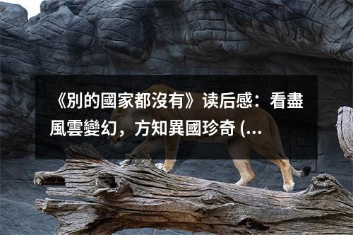 《別的國(guó)家都沒(méi)有》讀后感：看盡風(fēng)雲(yún)變幻，方知異國(guó)珍奇 (800字)
