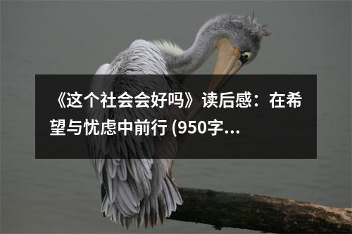 《這個社會會好嗎》讀后感：在希望與憂慮中前行 (950字)