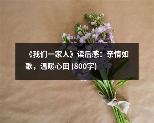 《我們一家人》讀后感：親情如歌，溫暖心田 (800字)