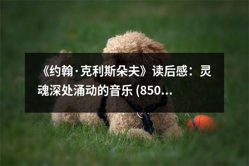 《約翰·克利斯朵夫》讀后感：靈魂深處涌動的音樂 (850字)