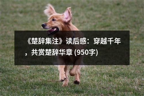 《楚辭集注》讀后感：穿越千年，共賞楚辭華章 (950字)