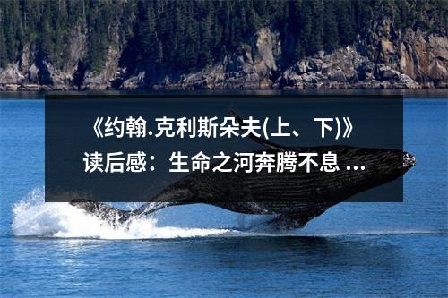 《約翰.克利斯朵夫(上、下)》讀后感：生命之河奔騰不息 (850字)