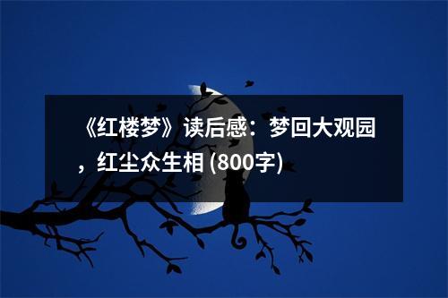《紅樓夢》讀后感：夢回大觀園，紅塵眾生相 (800字)