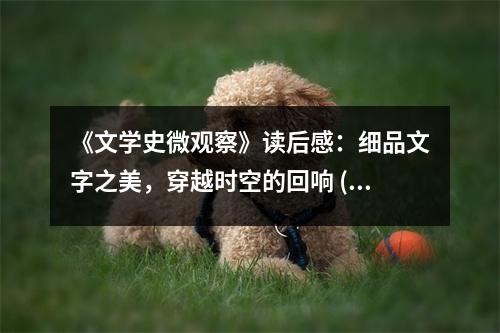 《文學史微觀察》讀后感：細品文字之美，穿越時空的回響 (900字)