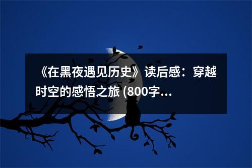 《在黑夜遇見歷史》讀后感：穿越時空的感悟之旅 (800字)