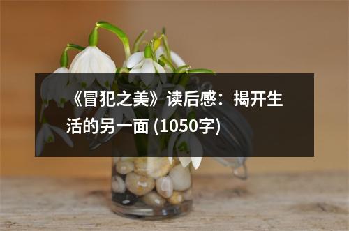 《冒犯之美》讀后感：揭開(kāi)生活的另一面 (1050字)