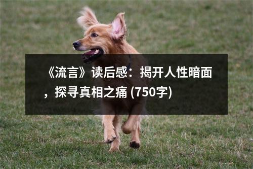 《流言》讀后感：揭開人性暗面，探尋真相之痛 (750字)