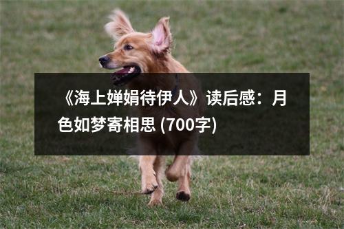 《海上嬋娟待伊人》讀后感：月色如夢(mèng)寄相思 (700字)