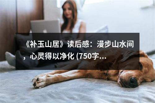 《補玉山居》讀后感：漫步山水間，心靈得以凈化 (750字)