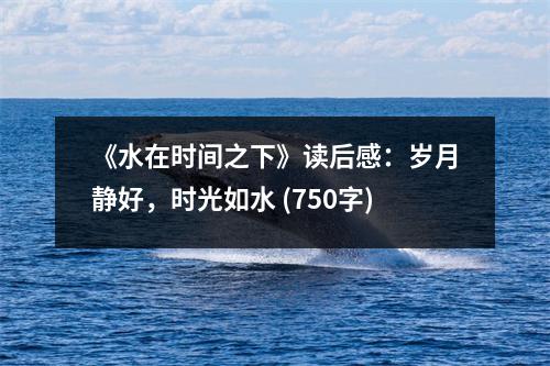《水在時間之下》讀后感：歲月靜好，時光如水 (750字)