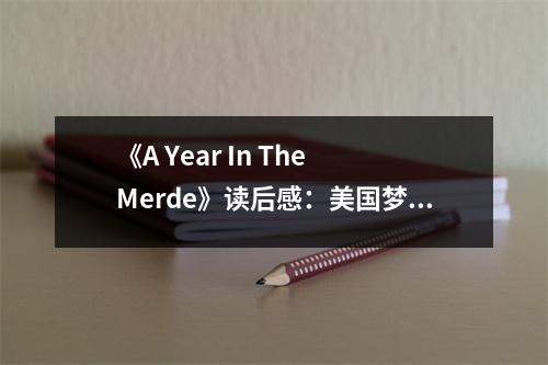 《A Year In The Merde》讀后感：美國夢在德國的破碎與重生 (850字)