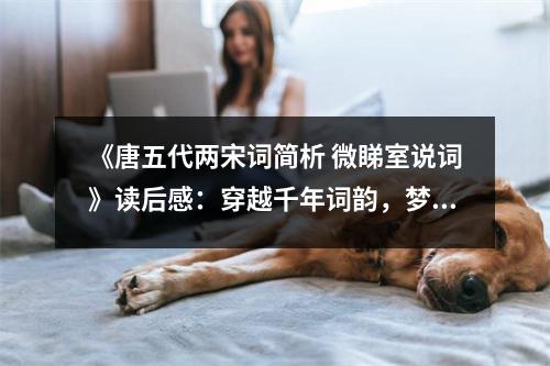 《唐五代兩宋詞簡析 微睇室說詞》讀后感：穿越千年詞韻，夢回繁華時光 (800字)