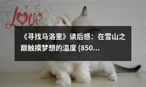 《尋找馬洛里》讀后感：在雪山之巔觸摸夢想的溫度 (850字)