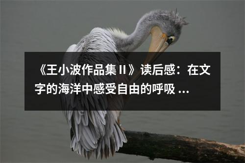 《王小波作品集Ⅱ》讀后感：在文字的海洋中感受自由的呼吸 (750字)