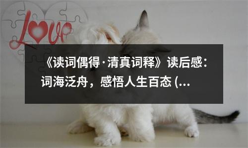 《讀詞偶得·清真詞釋》讀后感：詞海泛舟，感悟人生百態(tài) (650字)