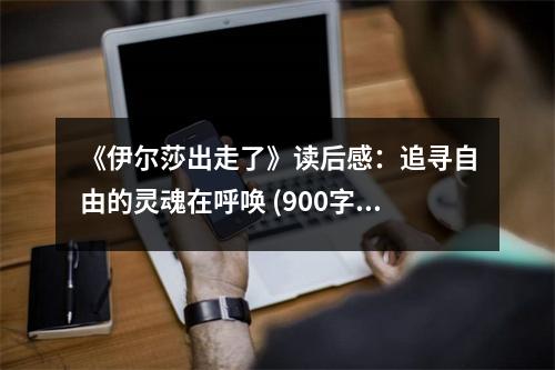 《伊爾莎出走了》讀后感：追尋自由的靈魂在呼喚 (900字)