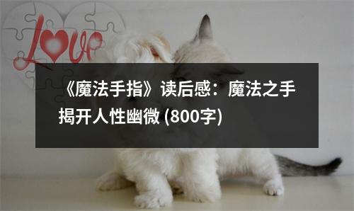 《魔法手指》讀后感：魔法之手揭開人性幽微 (800字)