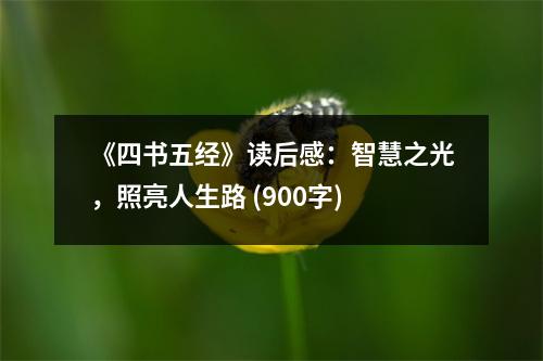《四書五經》讀后感：智慧之光，照亮人生路 (900字)