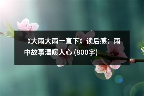 《大雨大雨一直下》讀后感：雨中故事溫暖人心 (800字)