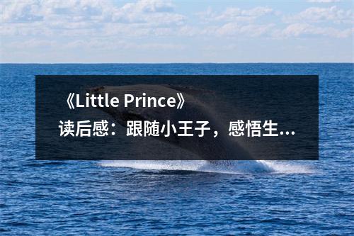 《Little Prince》讀后感：跟隨小王子，感悟生命的真諦 (650字)