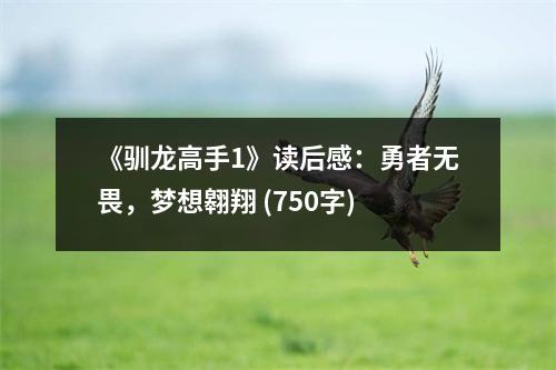 《馴龍高手1》讀后感：勇者無畏，夢想翱翔 (750字)