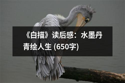 《白描》讀后感：水墨丹青繪人生 (650字)