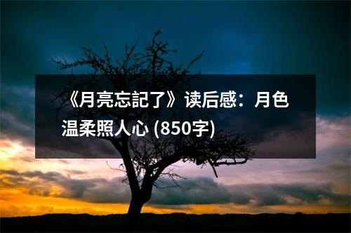 《月亮忘記了》讀后感：月色溫柔照人心 (850字)