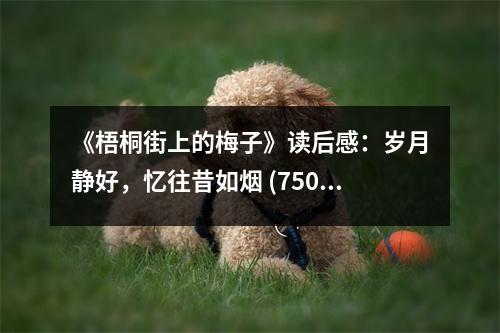 《梧桐街上的梅子》讀后感：歲月靜好，憶往昔如煙 (750字)