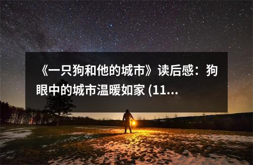 《一只狗和他的城市》讀后感：狗眼中的城市溫暖如家 (1150字)
