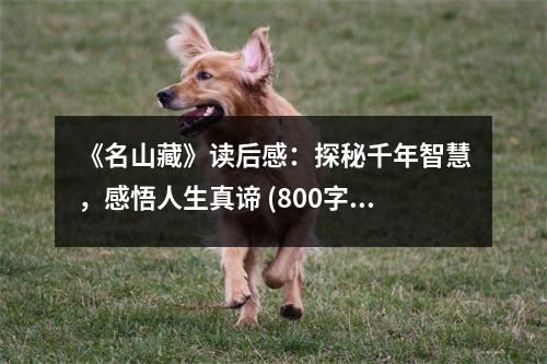 《名山藏》讀后感：探秘千年智慧，感悟人生真諦 (800字)