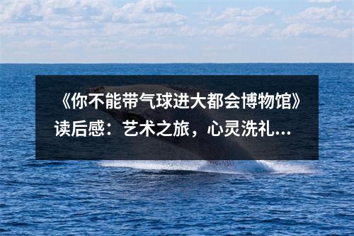 《你不能帶氣球進大都會博物館》讀后感：藝術之旅，心靈洗禮 (950字)