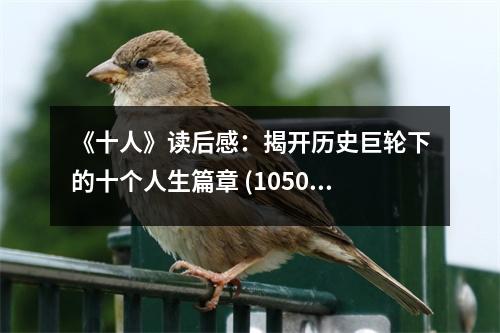 《十人》讀后感：揭開歷史巨輪下的十個(gè)人生篇章 (1050字)