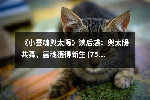 《小靈魂與太陽》讀后感：與太陽共舞，靈魂獲得新生 (750字)