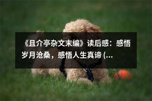 《且介亭雜文末編》讀后感：感悟歲月滄桑，感悟人生真諦 (900字)