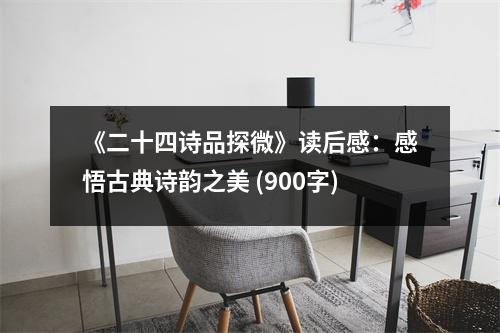 《二十四詩(shī)品探微》讀后感：感悟古典詩(shī)韻之美 (900字)