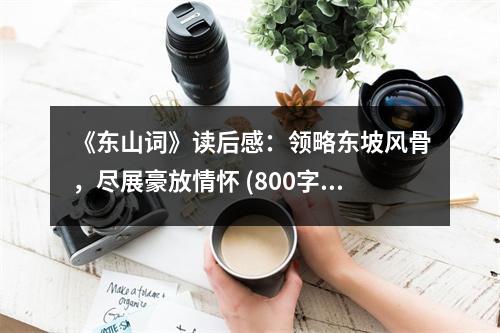 《東山詞》讀后感：領(lǐng)略東坡風(fēng)骨，盡展豪放情懷 (800字)