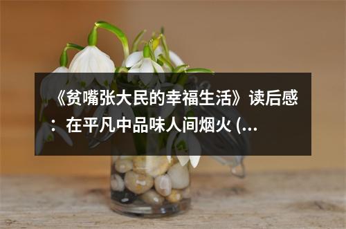 《貧嘴張大民的幸福生活》讀后感：在平凡中品味人間煙火 (800字)