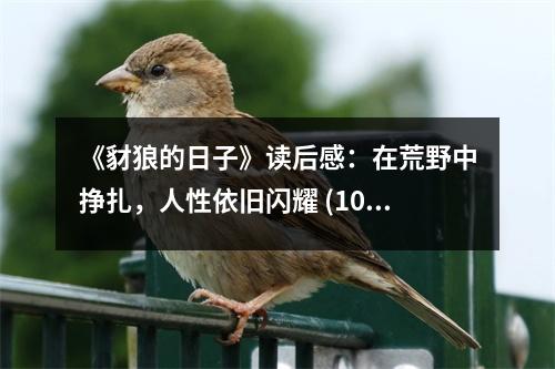 《豺狼的日子》讀后感：在荒野中掙扎，人性依舊閃耀 (1050字)