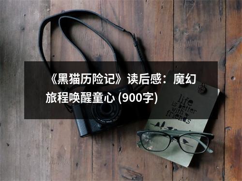 《黑貓歷險(xiǎn)記》讀后感：魔幻旅程喚醒童心 (900字)
