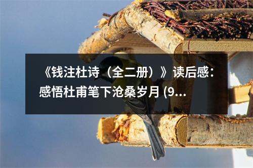 《錢(qián)注杜詩(shī)（全二冊(cè)）》讀后感：感悟杜甫筆下滄桑歲月 (950字)
