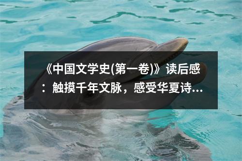 《中國文學史(第一卷)》讀后感：觸摸千年文脈，感受華夏詩韻 (850字)