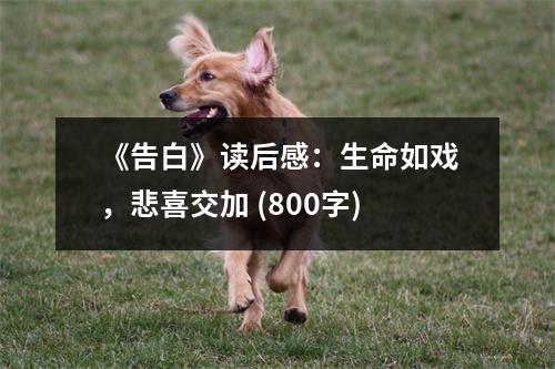 《告白》讀后感：生命如戲，悲喜交加 (800字)