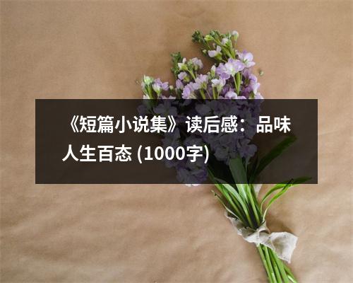 《短篇小說集》讀后感：品味人生百態(tài) (1000字)