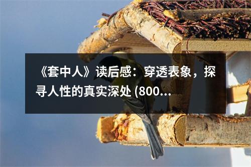 《套中人》讀后感：穿透表象，探尋人性的真實(shí)深處 (800字)
