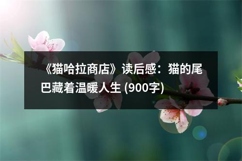《貓哈拉商店》讀后感：貓的尾巴藏著溫暖人生 (900字)