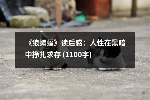 《狼蝙蝠》讀后感：人性在黑暗中掙扎求存 (1100字)