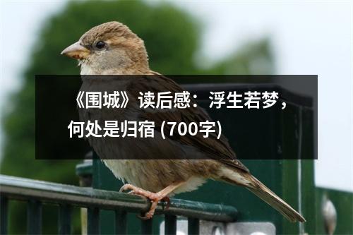 《圍城》讀后感：浮生若夢(mèng)，何處是歸宿 (700字)
