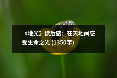 《地光》讀后感：在天地間感受生命之光 (1350字)