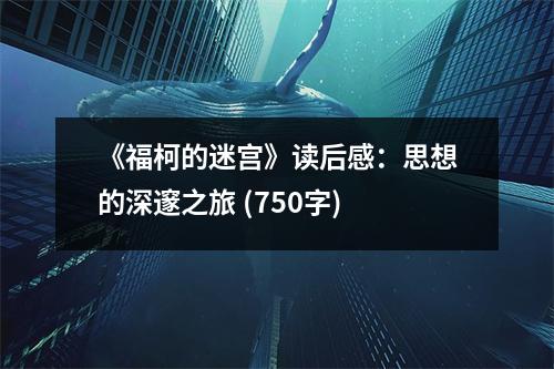 《?？碌拿詫m》讀后感：思想的深邃之旅 (750字)
